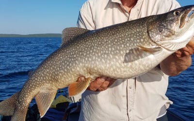 Trophy Lake Trout at Clark’s Resorts