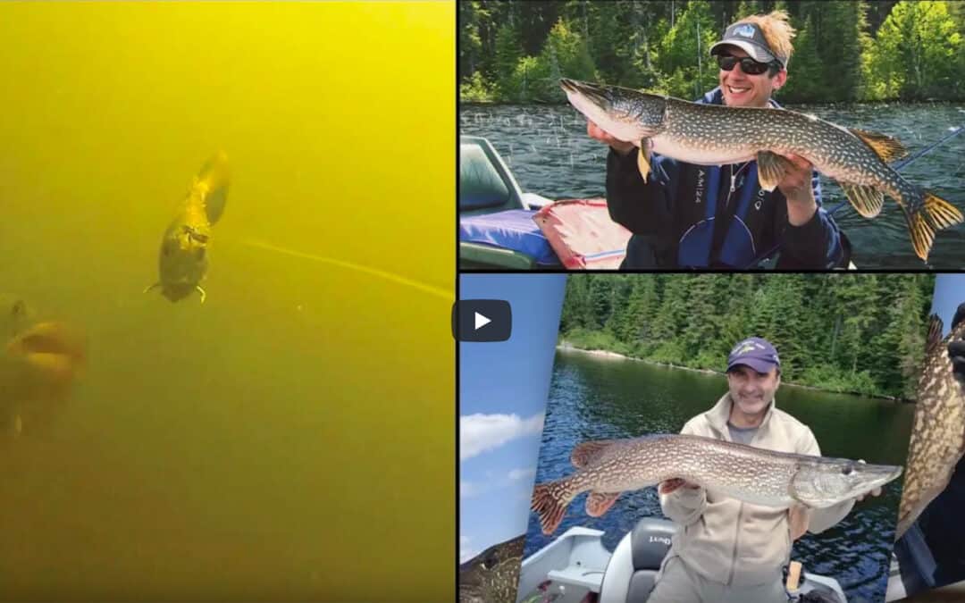Quest for Ontario Monster Pike