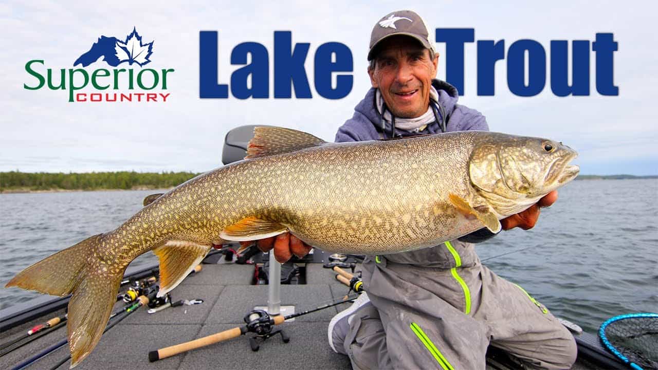 Superior Country Lake Trout