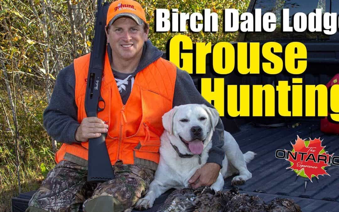Sunset Country Grouse Hunting — Birch Dale Lodge