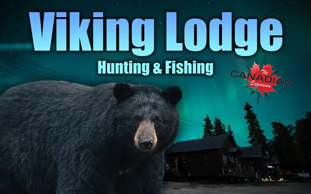 Viking Lodge Manitoba Bear Hunt & Fishing
